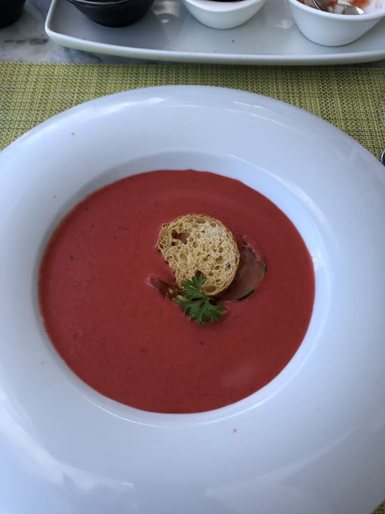 Gastro TRS Coral Hotel - Adults Only