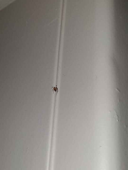 Zimmer Sunrise Resort Hotel