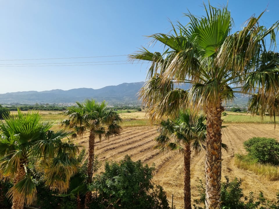 Außenansicht Hotel Tigaki Beach