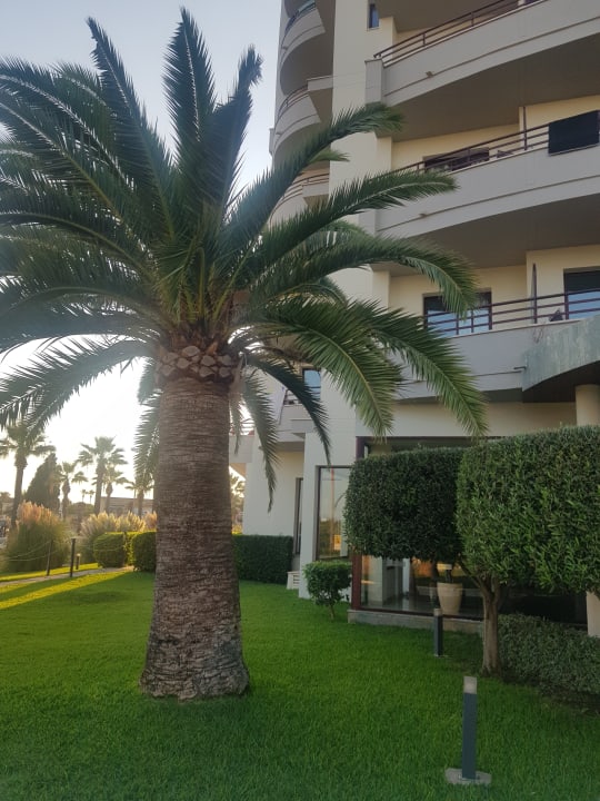 Gartenanlage allsun App.-Hotel Orient Beach