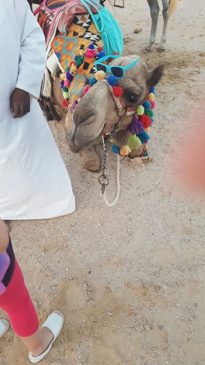 Markus Fantazia Resort Marsa Alam