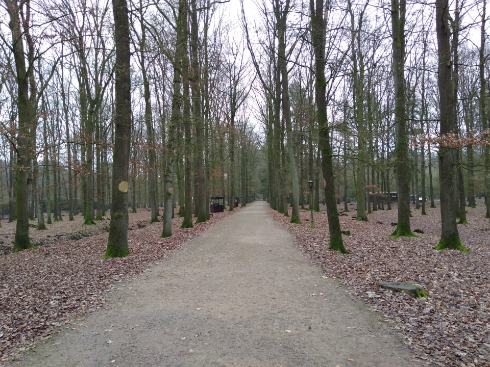 Gartenanlage Vila Vita Burghotel Dinklage