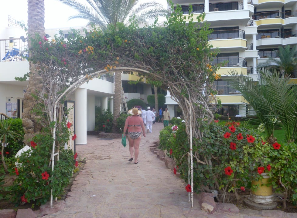 Blick auf das Hotel SUNRISE Holidays Resort (Adults Only)