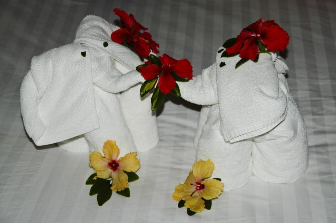 Überraschung Centara Koh Chang Tropicana Resort