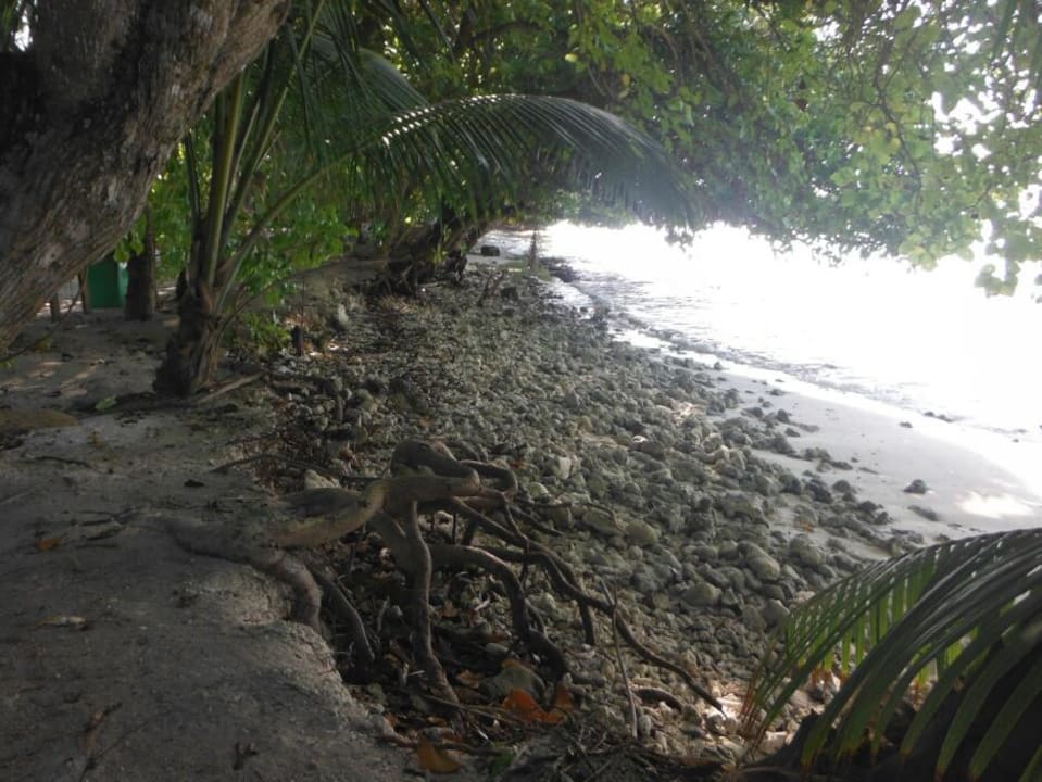 Strand mit Unterspuehlung Kuramathi Maldives