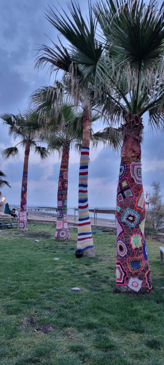 Garten Megasaray Club Belek