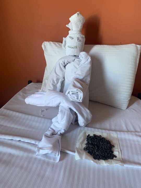 Zimmer Riviera Aqua Park Resort