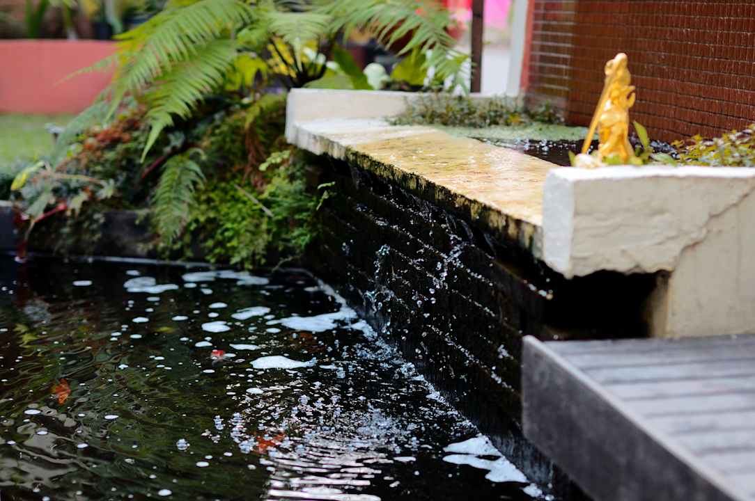 Sonstiges Seven Senses Guesthouse