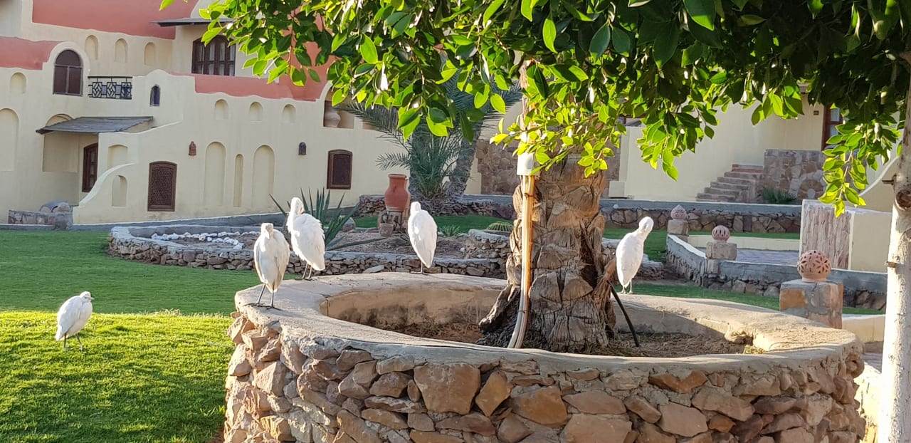 Gartenanlage Protels Crystal Beach Resort