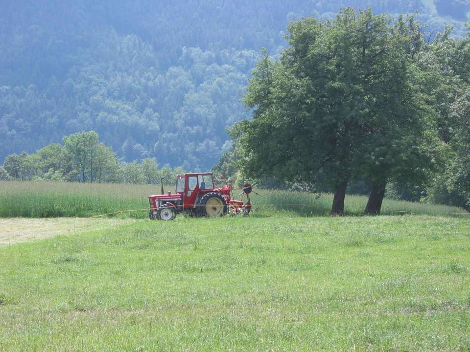 Traktor beim Zetten Pension Wachahof