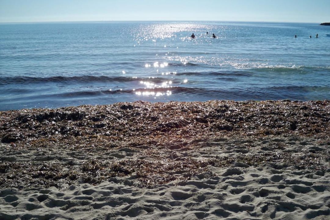 Blick auf's Meer Hotel Club S'Illot