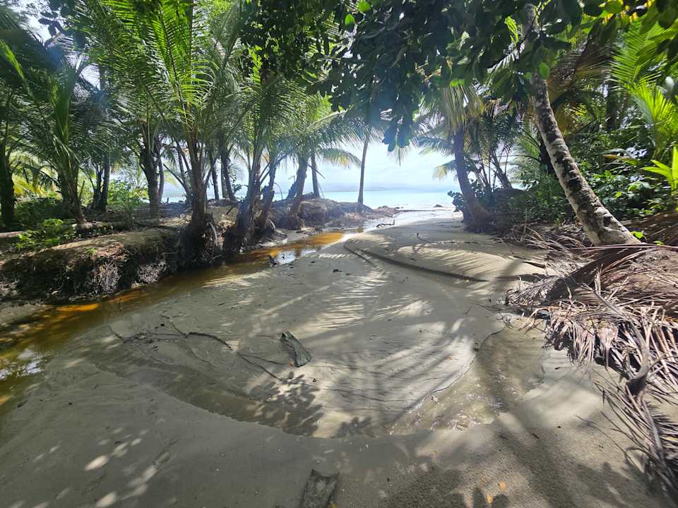 Strand Viva Miches by Wyndham, a Trademark All Inclusive Resort