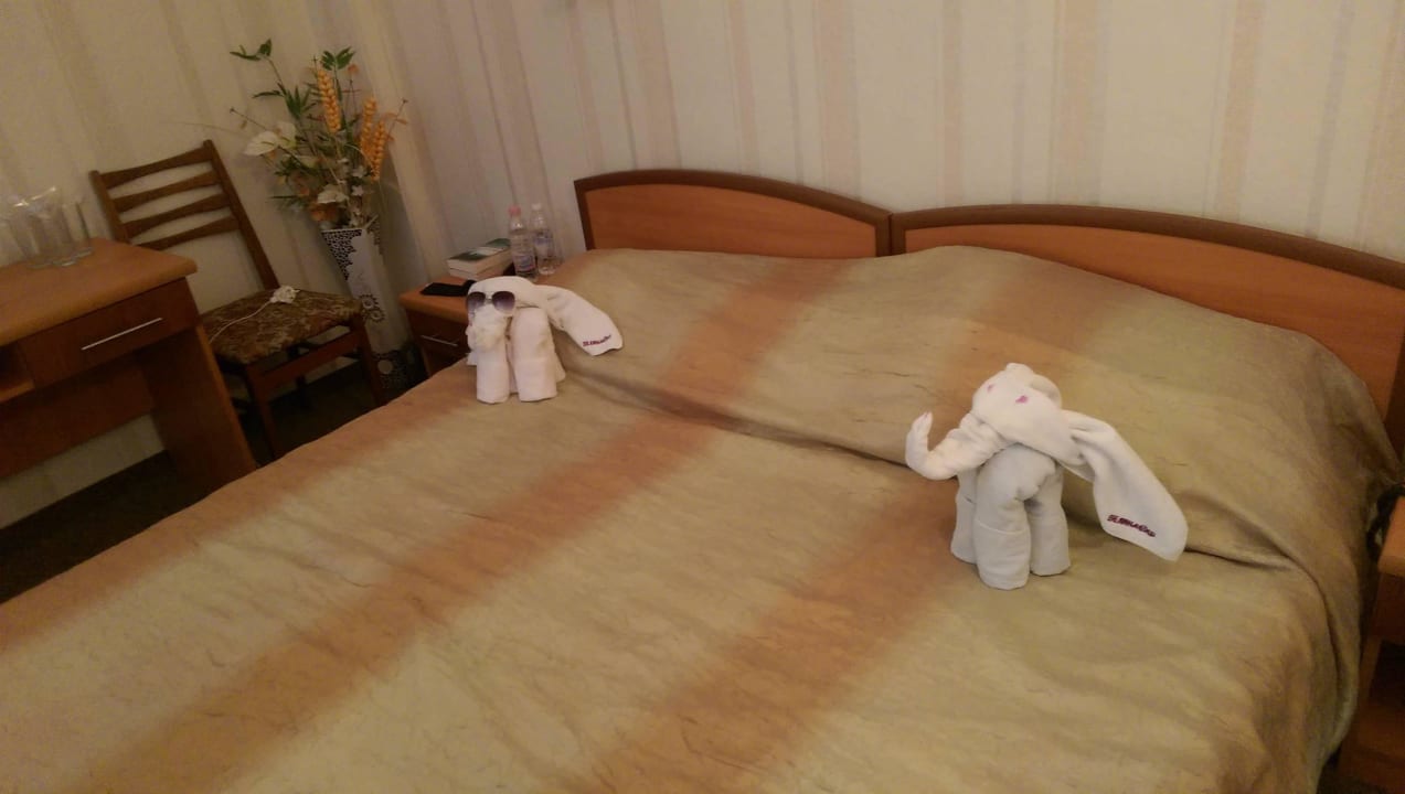 The elephants Hotel Zefir Beach