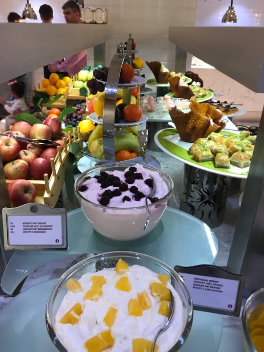 Gastro Acanthus Cennet Barut Collection