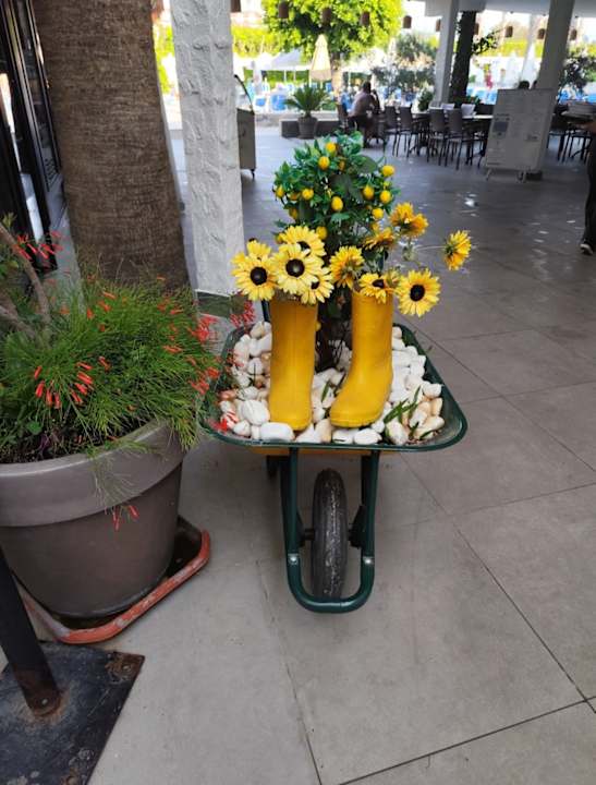 Gartenanlage Hane Family Resort