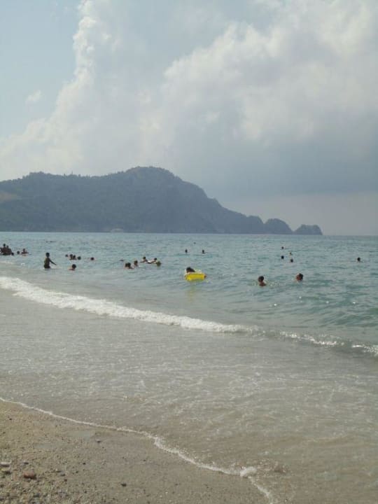 Celine Kleopatra Celine Hotel