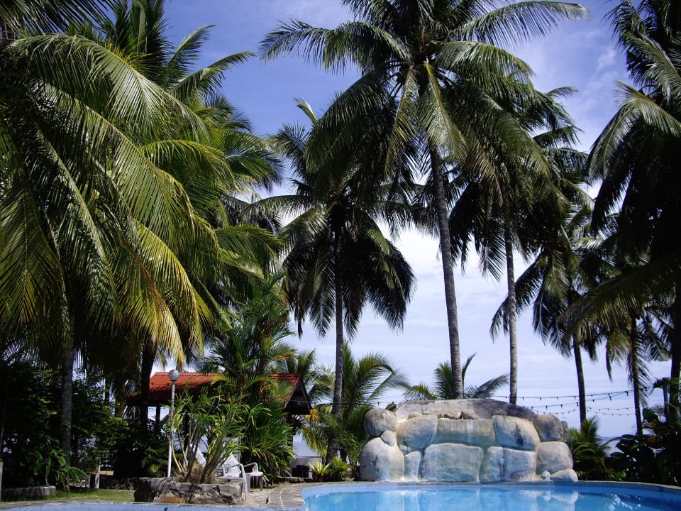 In Palmen eingebettet Seaside Travellers Inn