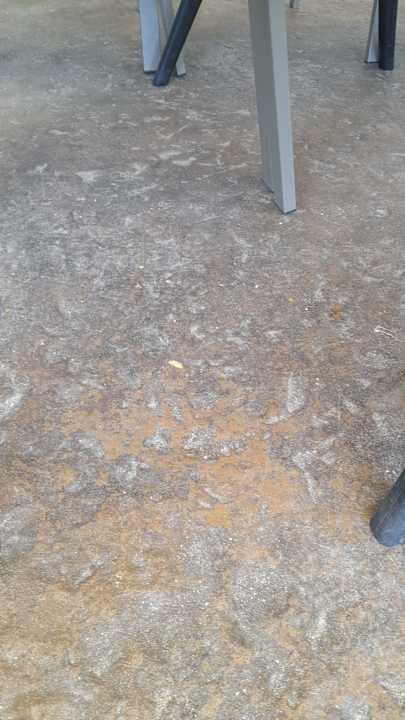 Gastro Hotel Borjana