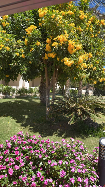Gartenanlage Cleopatra Luxury Resort Makadi Bay