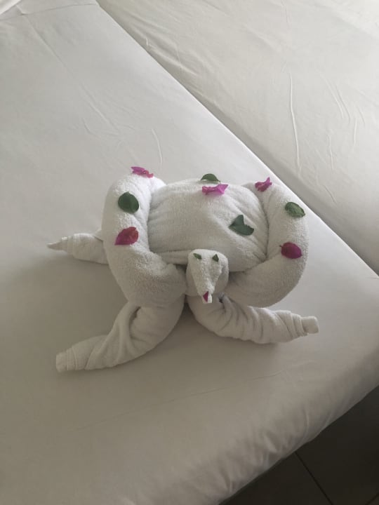 Zimmer Jaz Aquaviva