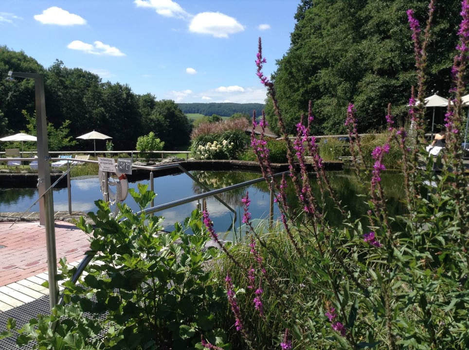 Schwimmteich Heilthermen Resort Bad Waltersdorf