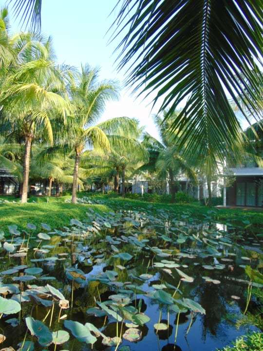 Gartenanlage Novotel Phu Quoc Resort