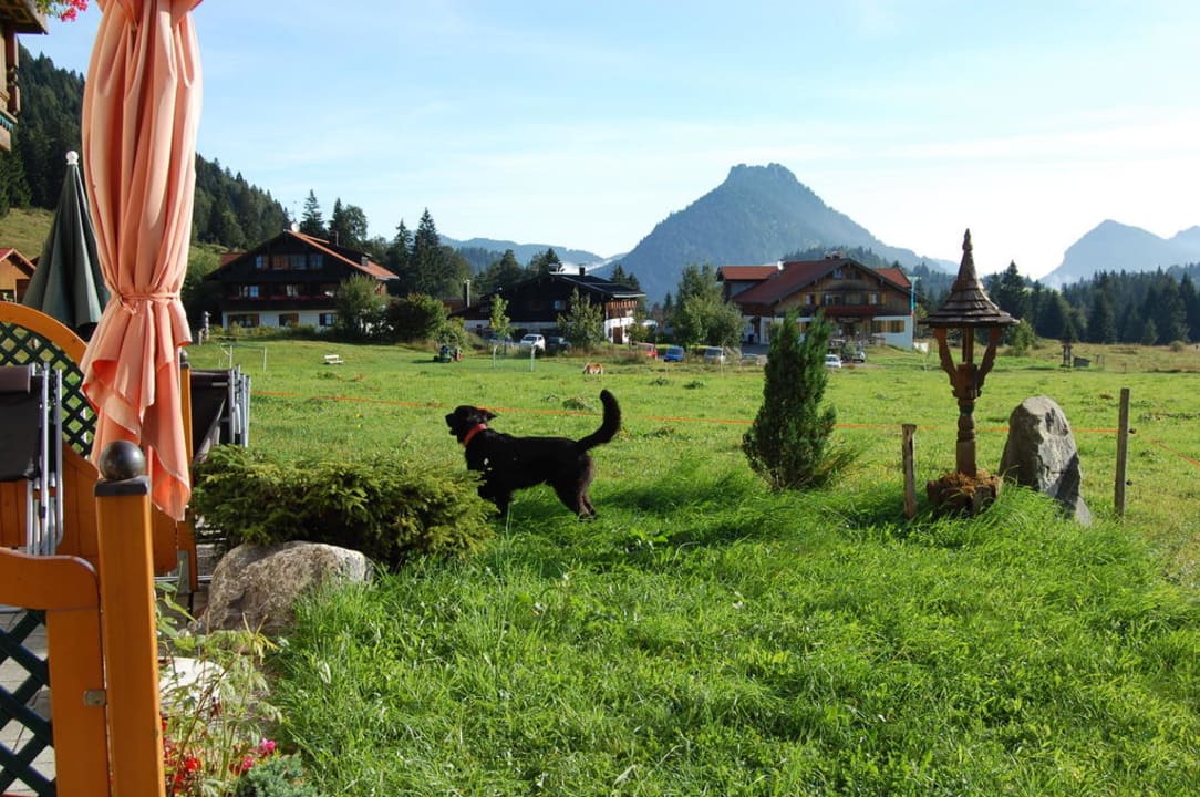 Terrasse und angrenzende Wiesen Biohotel Mattlihüs