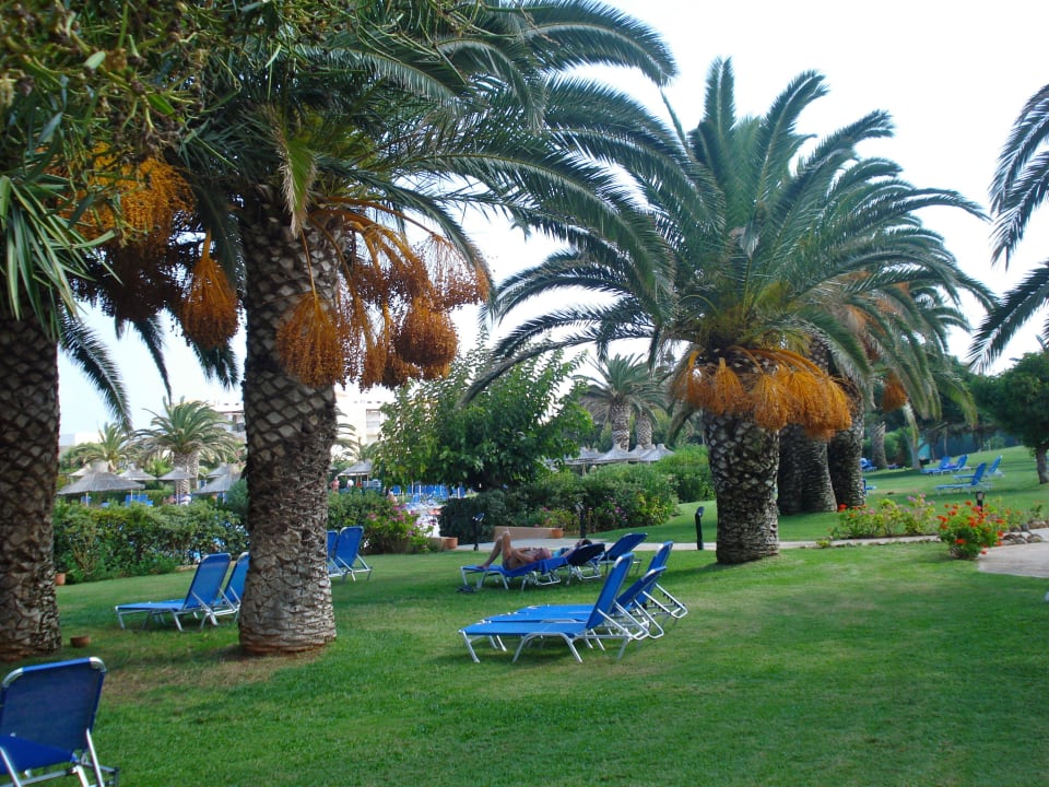 Liegewiese Anissa Beach & Village