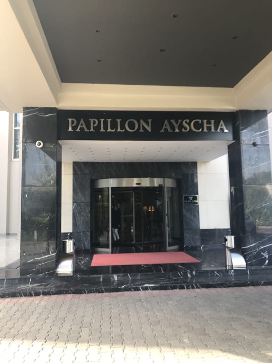 Außenansicht Papillon Ayscha