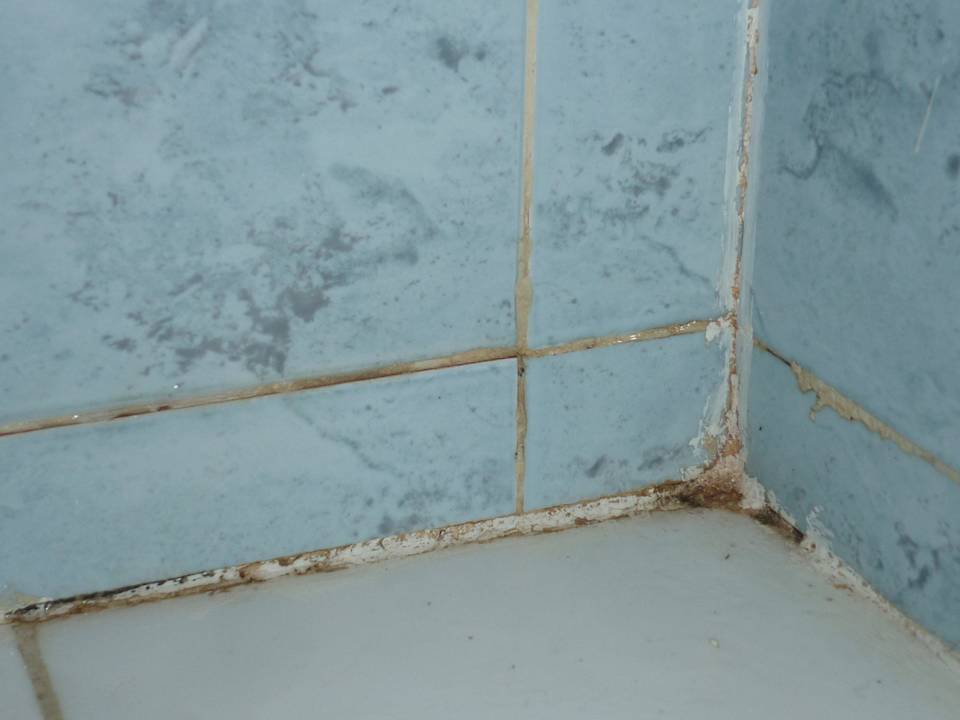 Sauber sieht anders aus Hotel Nesrine