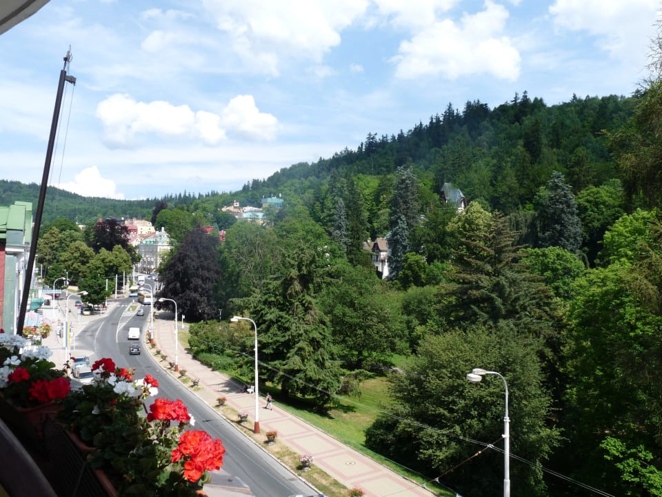 Ausblick zur Straße Butterfly Ensana Health Spa Hotel