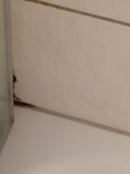 Zimmer Traveller Hotel