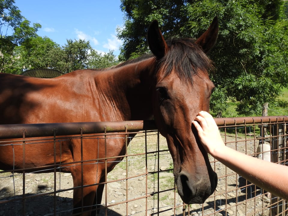 Sonstiges Talhof in Kärnten