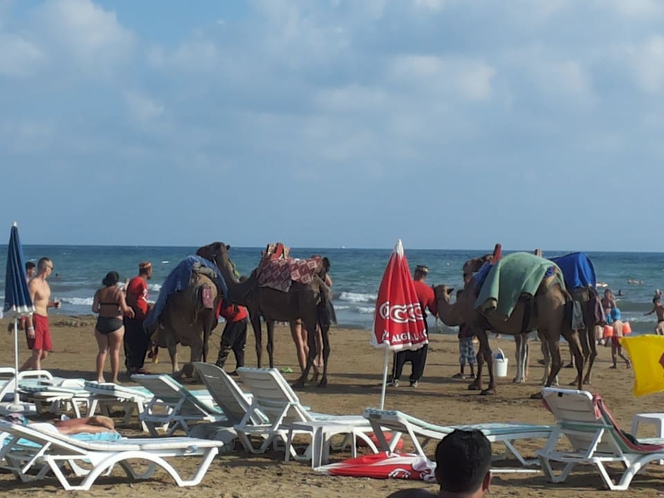 Пляж Side Alegria Hotel & Spa - Adults only +16