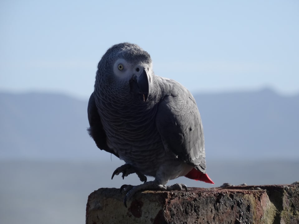 Sonstiges Amazing Grace B&B