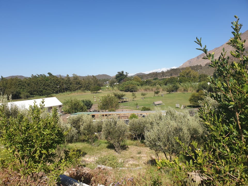 Gartenanlage Guesthouse Kogman & Keisie