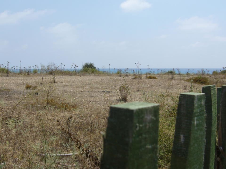 Sun Flipper Hotel Club Life Kizilot