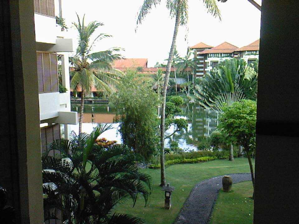 Сад Ayodya Resort Bali