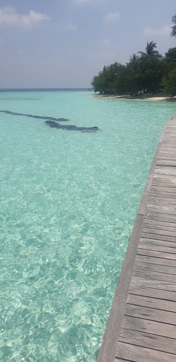 Strand Safari Island Maldives