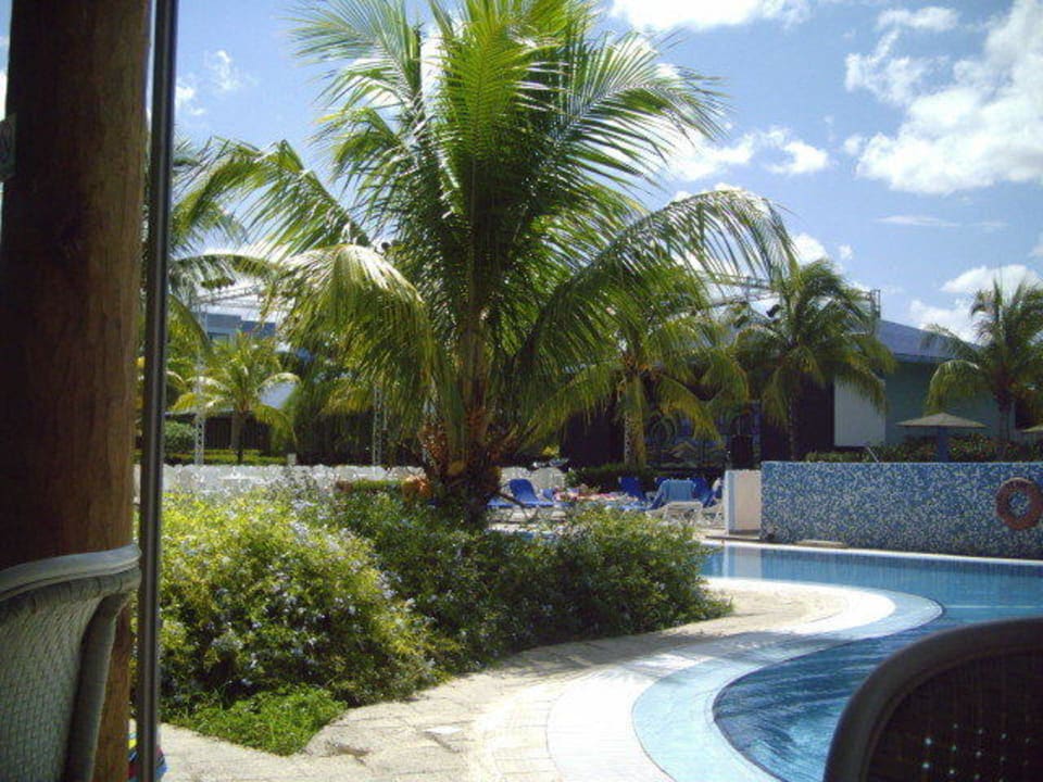 Palme am Pool ASTON Costa Verde Beach Resort