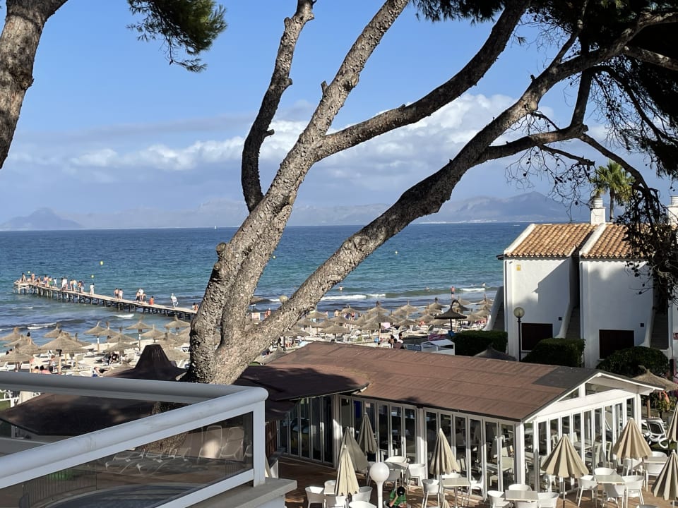Ausblick Grupotel Los Principes & Spa