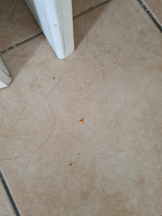 Zimmer Asteria Family Resort Side