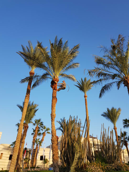 Ausblick Jaz Makadi Oasis Resort