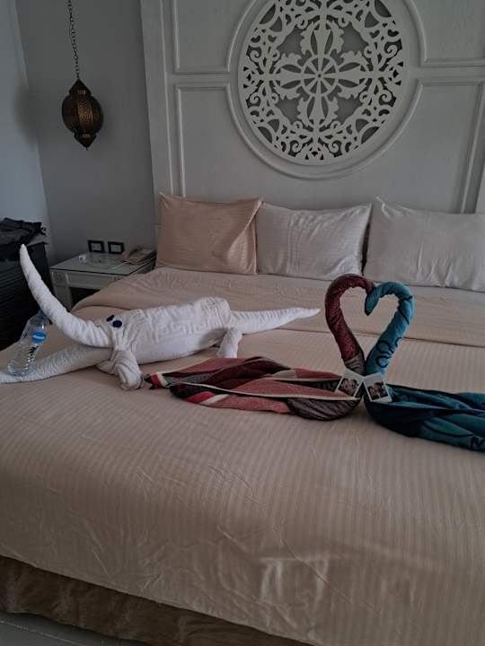 Zimmer The Grand Palace - Adults only