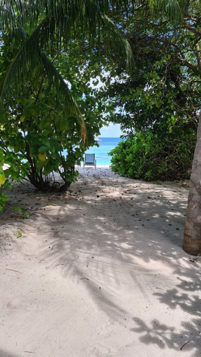 Ausblick Kudafushi Resort & Spa