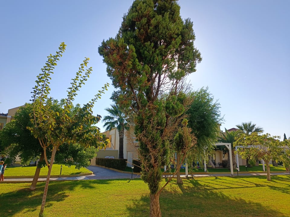 Gartenanlage Lindos Princess Beach Resort & Spa