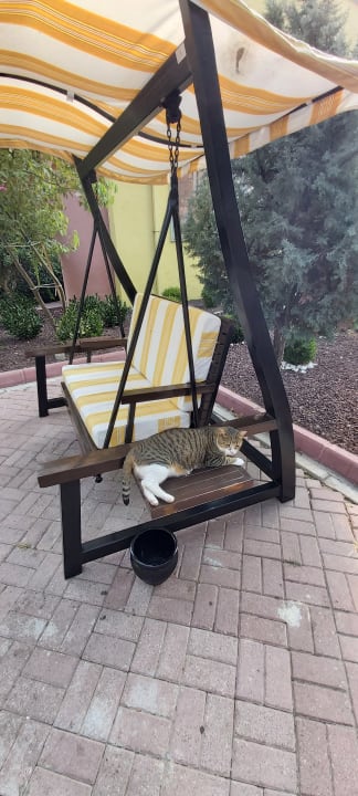 Gartenanlage VONRESORT Golden Beach