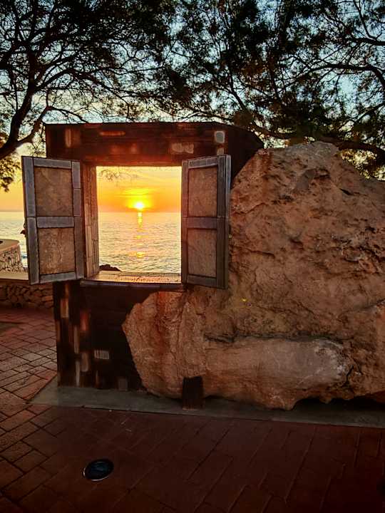 Außenansicht CM Playa del Moro