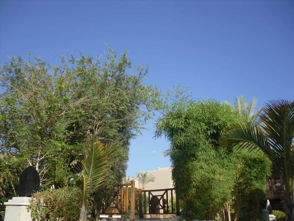 Pool Ghazala Gardens