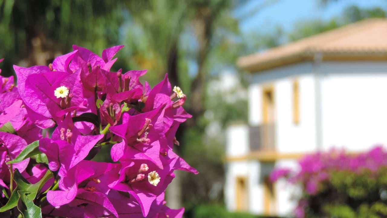 Aldiana Andalusien Gartenblick Aldiana Club Andalusien